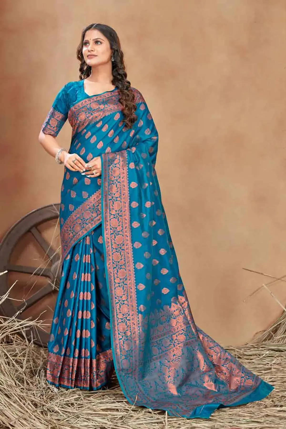 Banaras Saree Queen of Textiles 7 JDSD